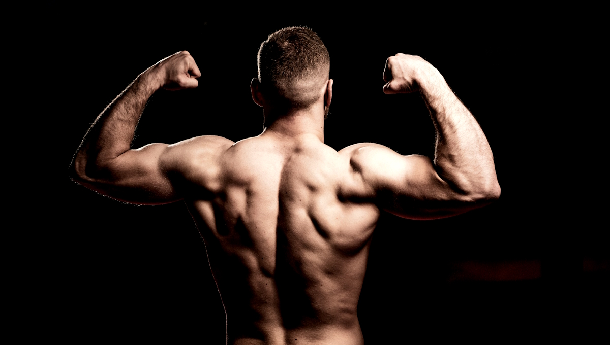 Buildingmuscle