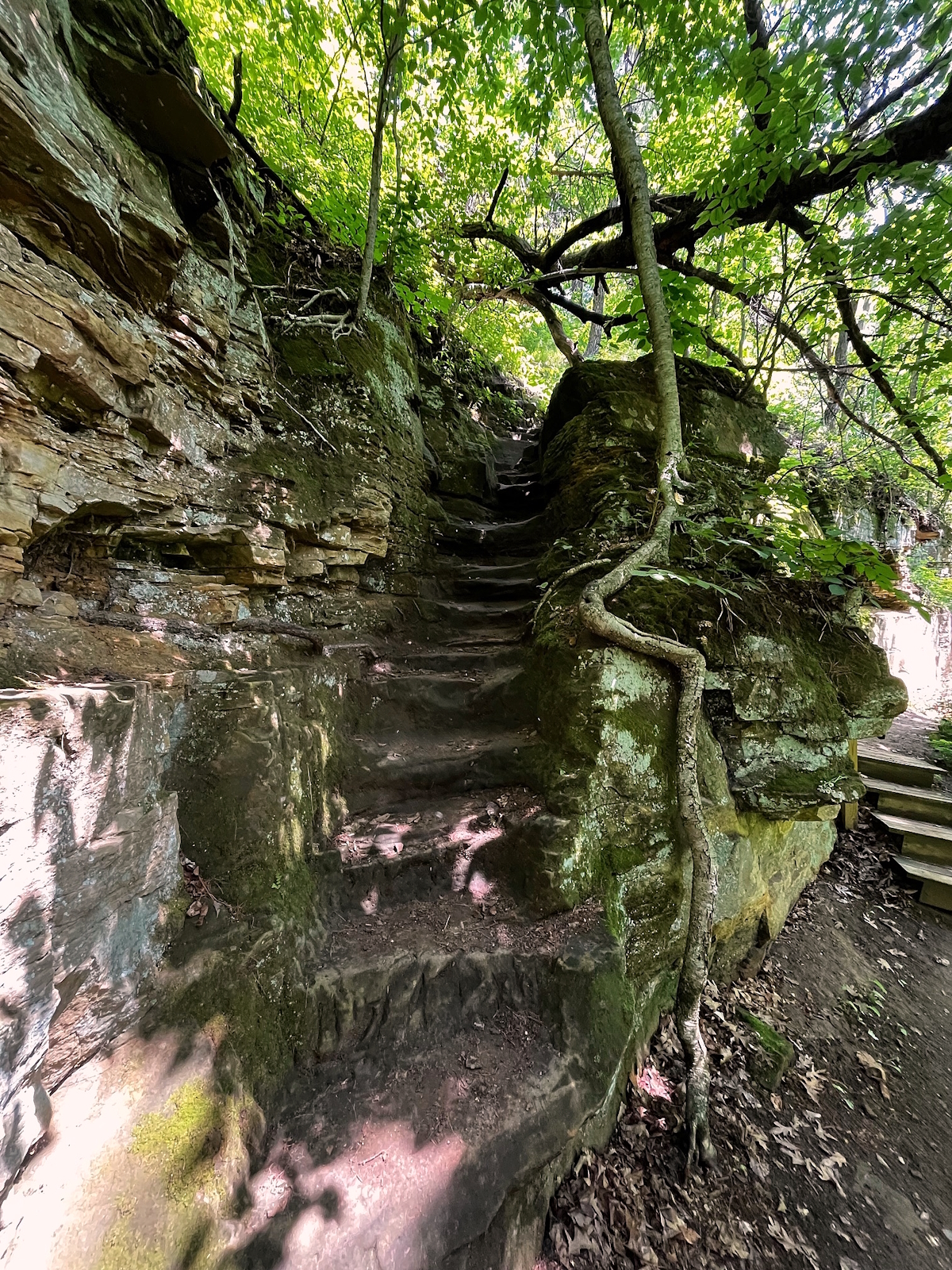 In Frame | Vol. 2 - Steps Cut from the Earth