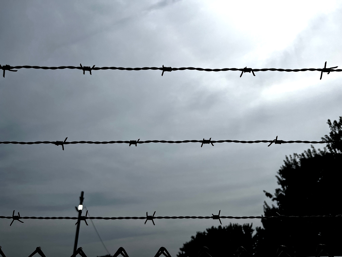 In Frame Vol. 4: The Barbed Wire Mind