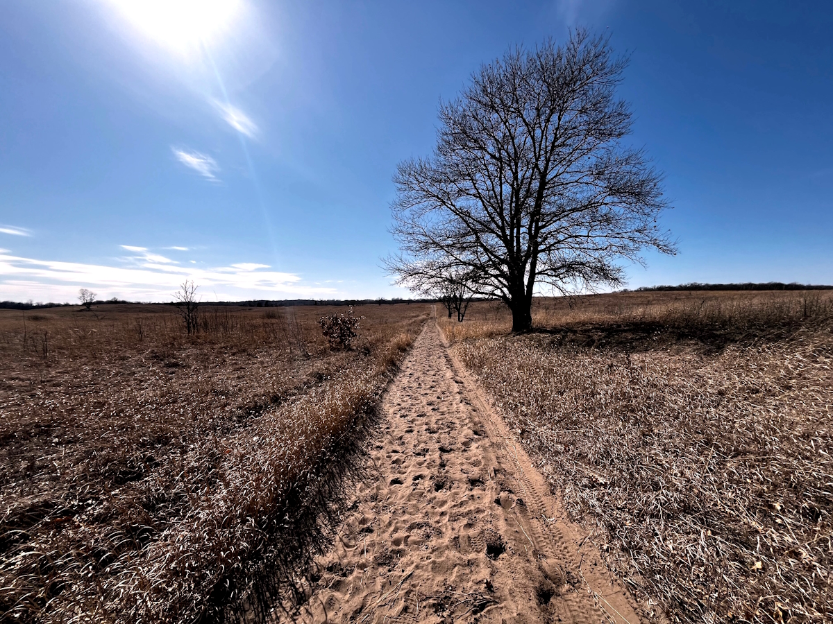 In Frame Vol. 10: The Lone Path