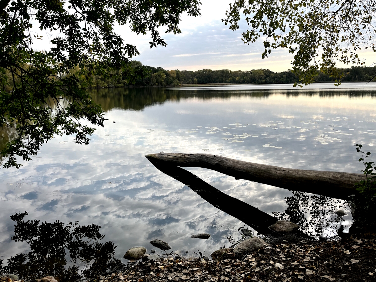 In Frame Vol. 12: The Still Forge