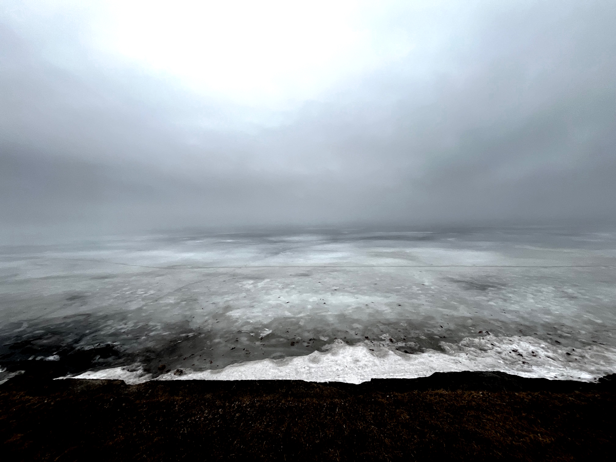 In Frame Vol. 14: The Fog